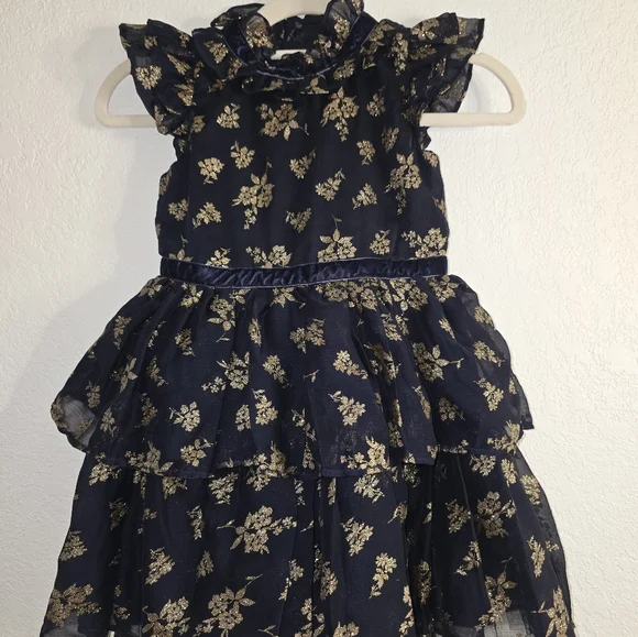 Janie and Jack Girl Dark Marine Glitter Floral Chiffon Dress - Picture 3 of 9